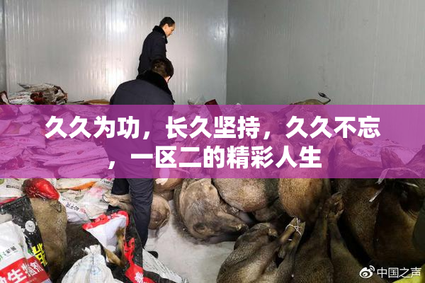 久久为功，长久坚持，久久不忘，一区二的精彩人生