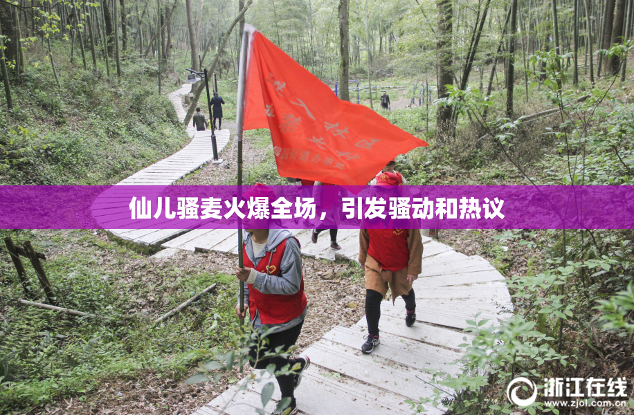 仙儿骚麦火爆全场，引发骚动和热议