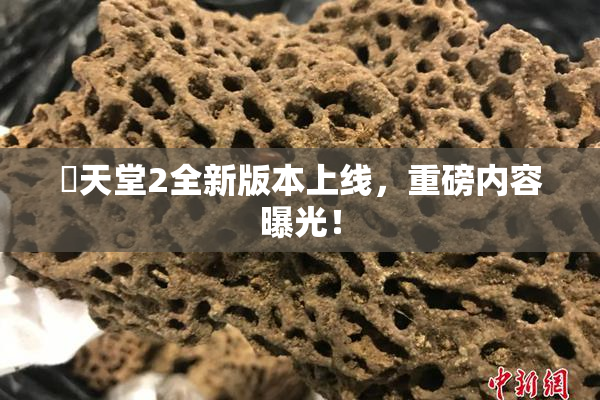 妺天堂2全新版本上线，重磅内容曝光！