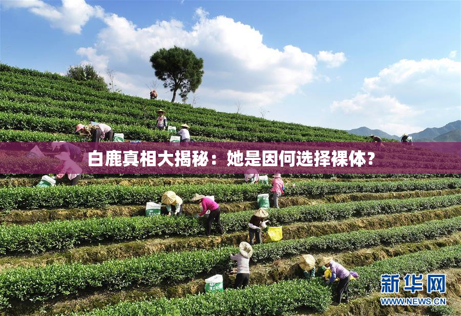 白鹿真相大揭秘：她是因何选择裸体？