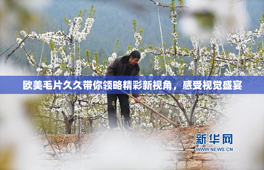 欧美毛片久久带你领略精彩新视角，感受视觉盛宴