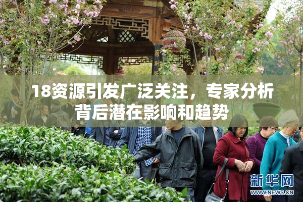 18资源引发广泛关注，专家分析背后潜在影响和趋势