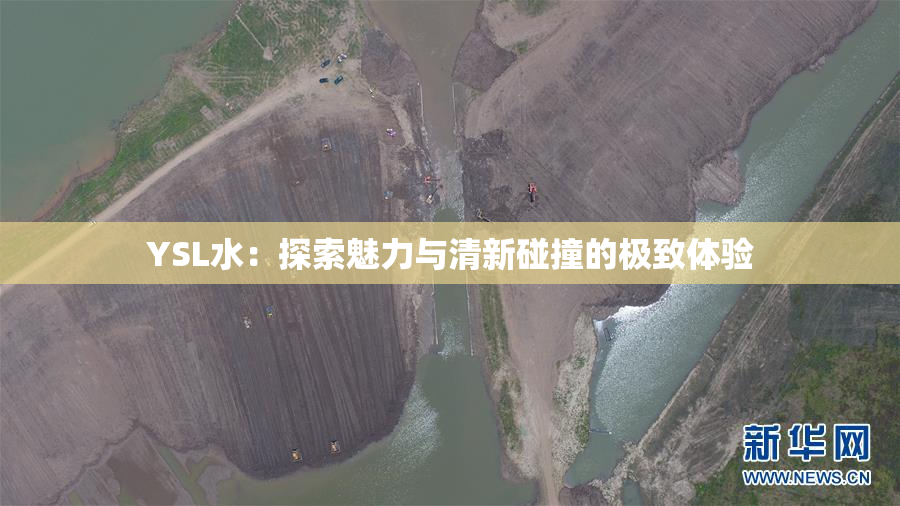 YSL水：探索魅力与清新碰撞的极致体验