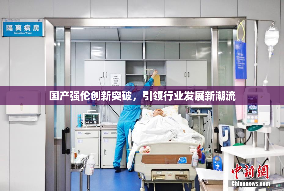 国产强伦创新突破，引领行业发展新潮流