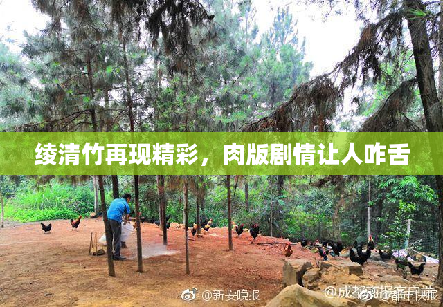 绫清竹再现精彩，肉版剧情让人咋舌