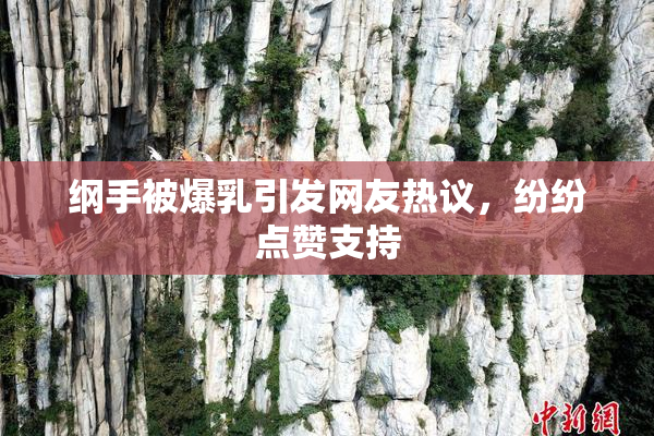 纲手被爆乳引发网友热议，纷纷点赞支持