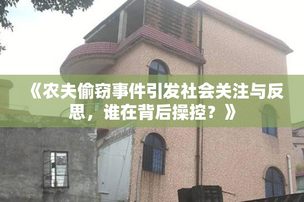 《农夫偷窃事件引发社会关注与反思，谁在背后操控？》
