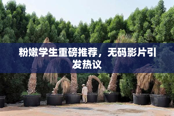 粉嫩学生重磅推荐，无码影片引发热议