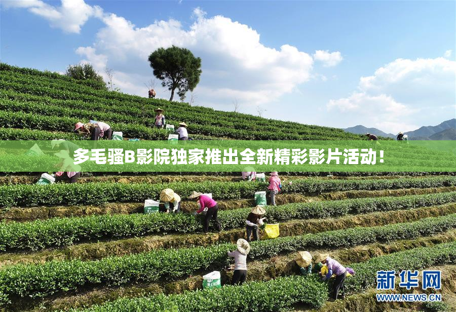 多毛骚B影院独家推出全新精彩影片活动！