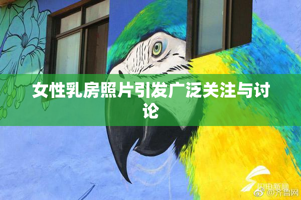 女性乳房照片引发广泛关注与讨论