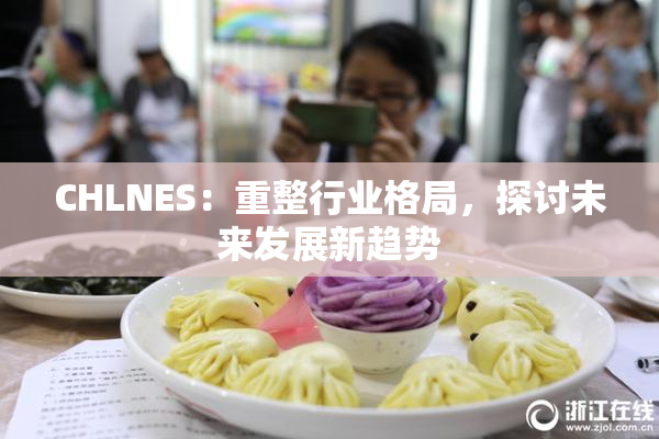 CHLNES：重整行业格局，探讨未来发展新趋势