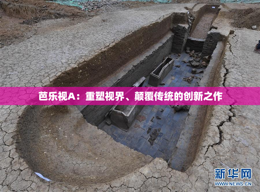 芭乐视A：重塑视界、颠覆传统的创新之作