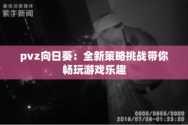 pvz向日葵：全新策略挑战带你畅玩游戏乐趣