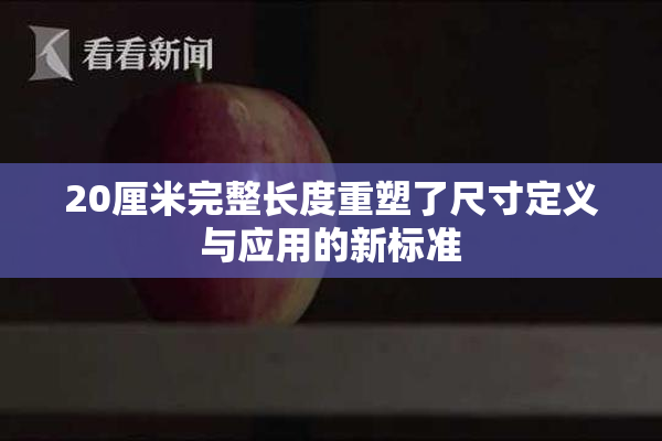 20厘米完整长度重塑了尺寸定义与应用的新标准