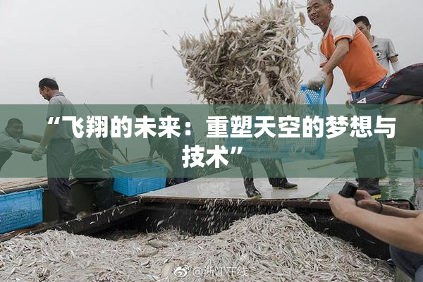 “飞翔的未来：重塑天空的梦想与技术”