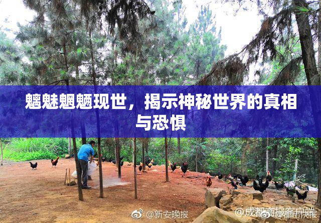 魑魅魍魉现世，揭示神秘世界的真相与恐惧