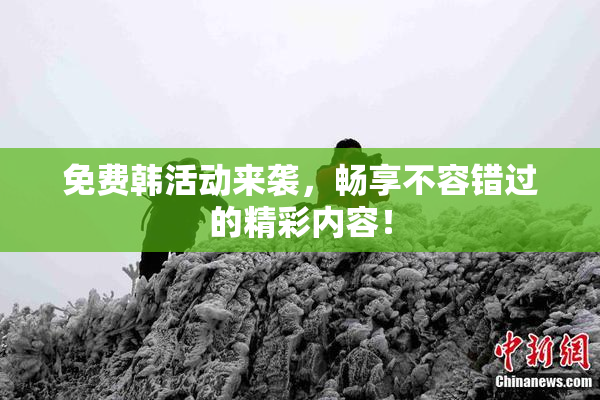 免费韩活动来袭，畅享不容错过的精彩内容！