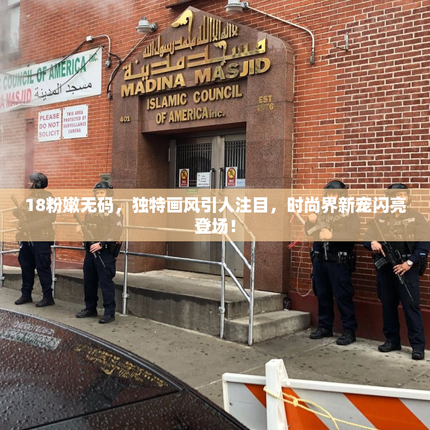 18粉嫩无码，独特画风引人注目，时尚界新宠闪亮登场！