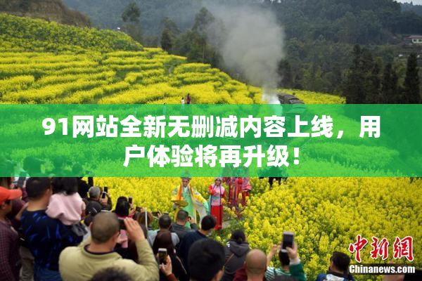 91网站全新无删减内容上线，用户体验将再升级！