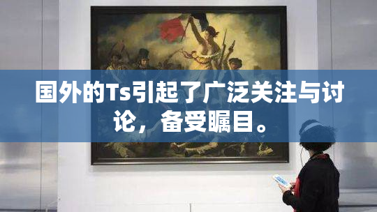 国外的Ts引起了广泛关注与讨论，备受瞩目。