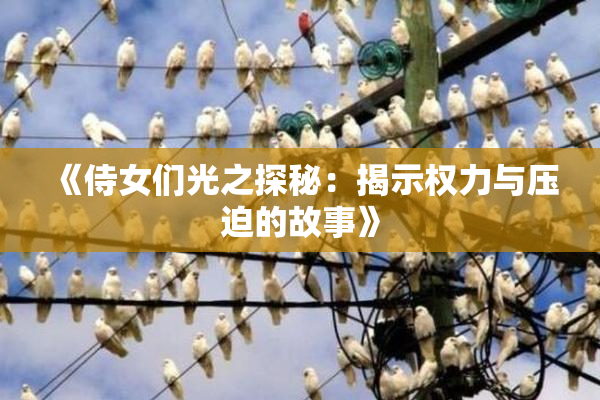 《侍女们光之探秘：揭示权力与压迫的故事》