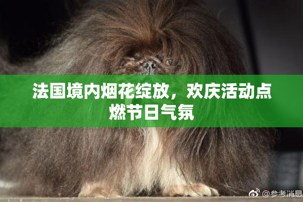 法国境内烟花绽放，欢庆活动点燃节日气氛