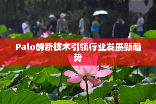 Palo创新技术引领行业发展新趋势