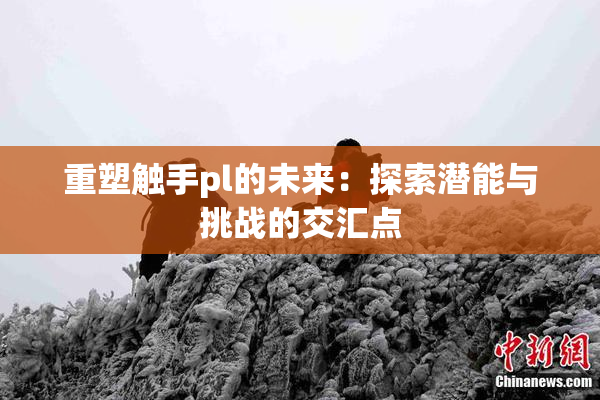 重塑触手pl的未来：探索潜能与挑战的交汇点