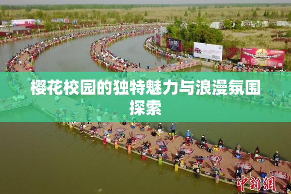 樱花校园的独特魅力与浪漫氛围探索