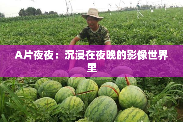 A片夜夜：沉浸在夜晚的影像世界里