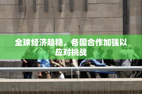 全球经济趋稳，各国合作加强以应对挑战