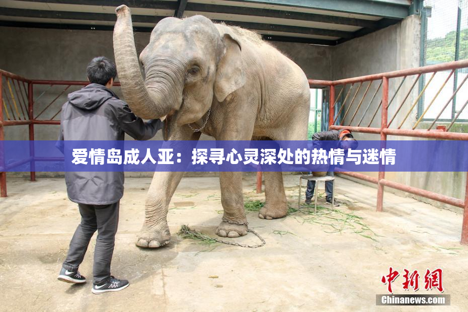 爱情岛成人亚：探寻心灵深处的热情与迷情