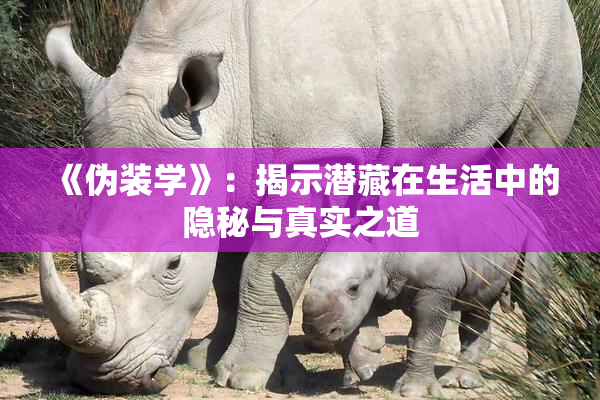 《伪装学》：揭示潜藏在生活中的隐秘与真实之道