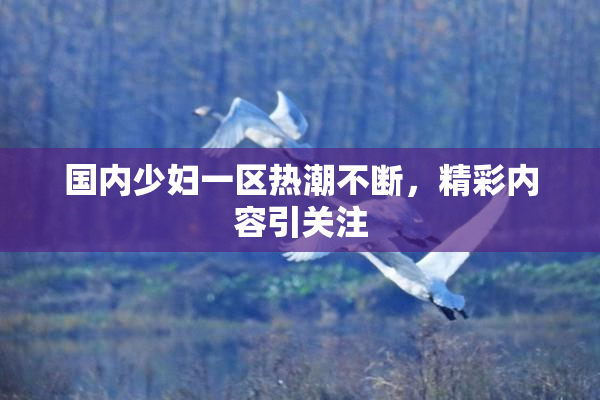 国内少妇一区热潮不断，精彩内容引关注