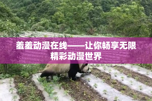 羞羞动漫在线——让你畅享无限精彩动漫世界