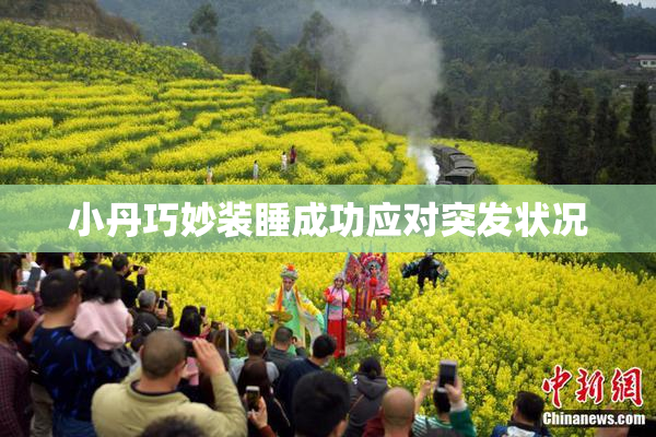 小丹巧妙装睡成功应对突发状况