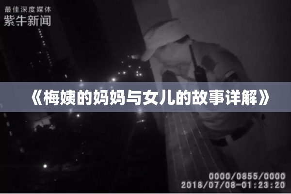 《梅姨的妈妈与女儿的故事详解》