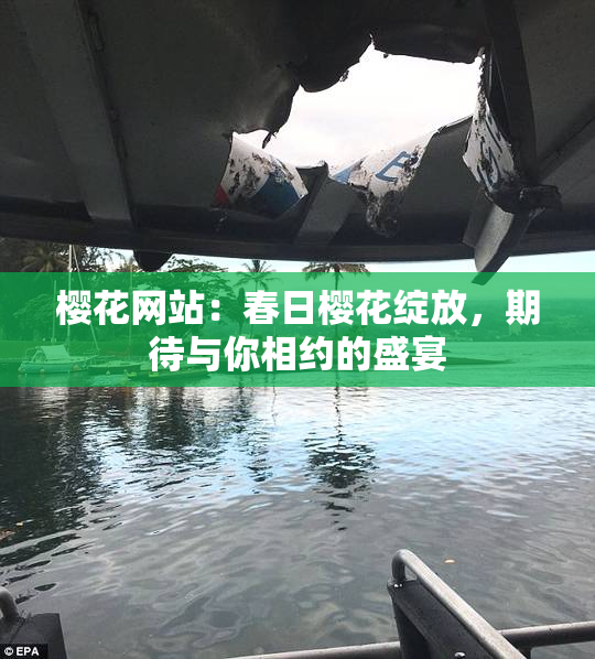 樱花网站：春日樱花绽放，期待与你相约的盛宴