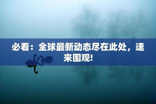 必看：全球最新动态尽在此处，速来围观!