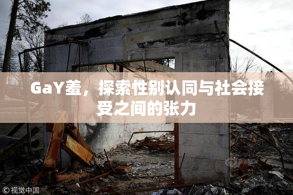 GaY羞，探索性别认同与社会接受之间的张力