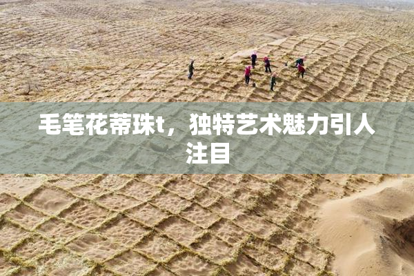 毛笔花蒂珠t，独特艺术魅力引人注目