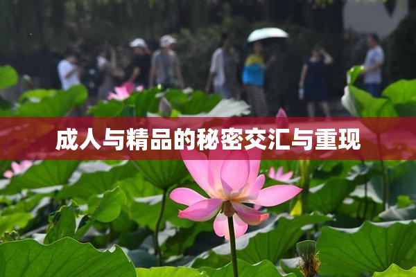 成人与精品的秘密交汇与重现