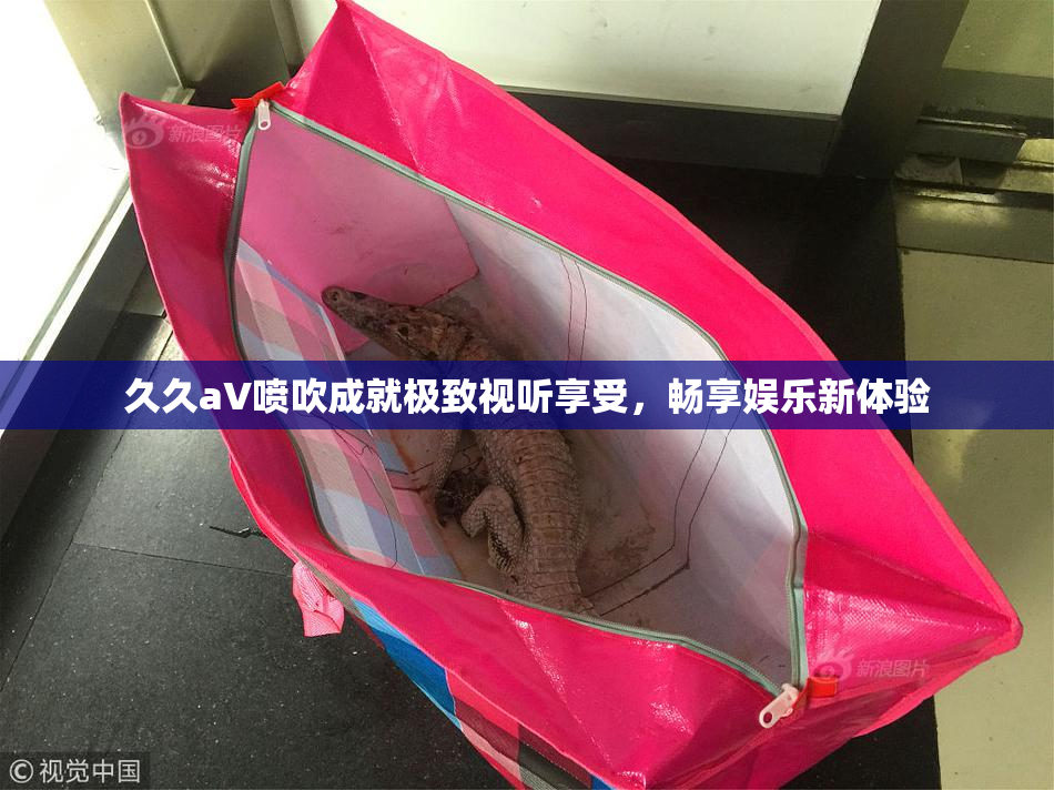 久久aV喷吹成就极致视听享受，畅享娱乐新体验