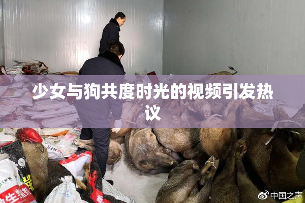 少女与狗共度时光的视频引发热议