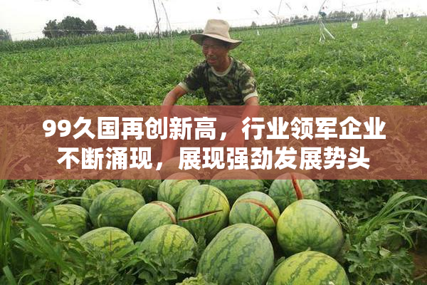 99久国再创新高，行业领军企业不断涌现，展现强劲发展势头