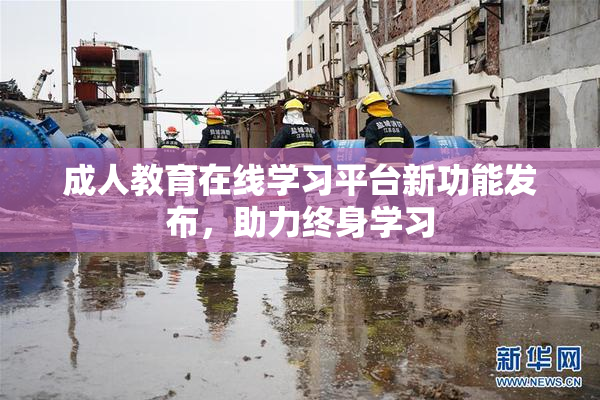 成人教育在线学习平台新功能发布，助力终身学习