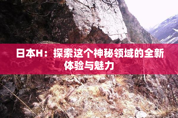 日本H：探索这个神秘领域的全新体验与魅力