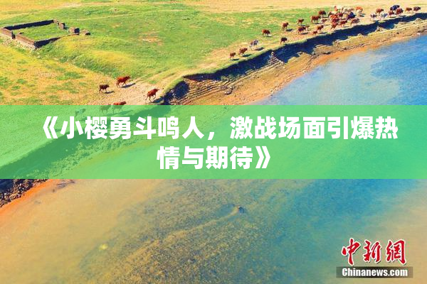 《小樱勇斗鸣人，激战场面引爆热情与期待》