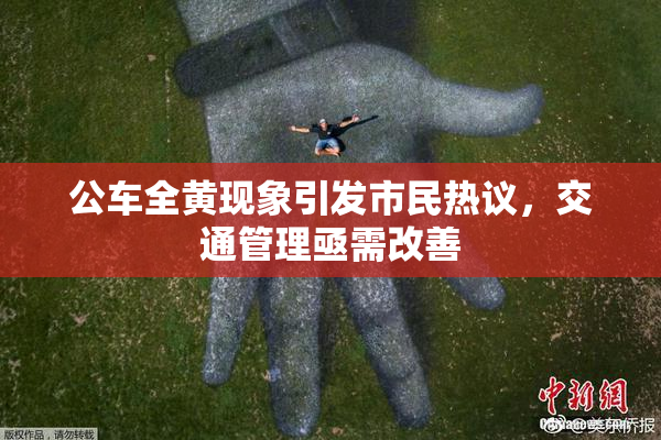 公车全黄现象引发市民热议，交通管理亟需改善