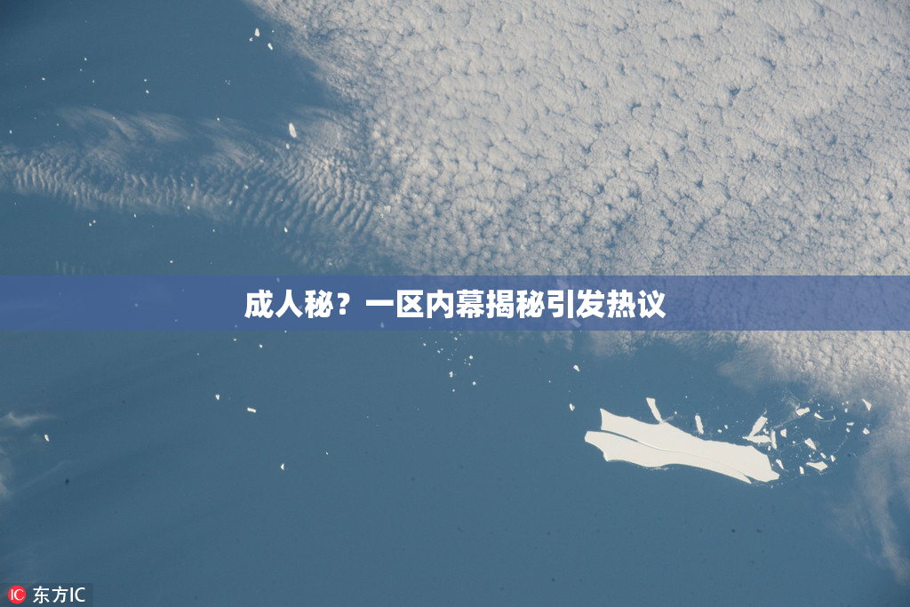 成人秘？一区内幕揭秘引发热议